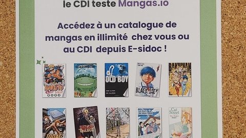 Affiches lycée Pothier
