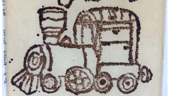 La locomotive