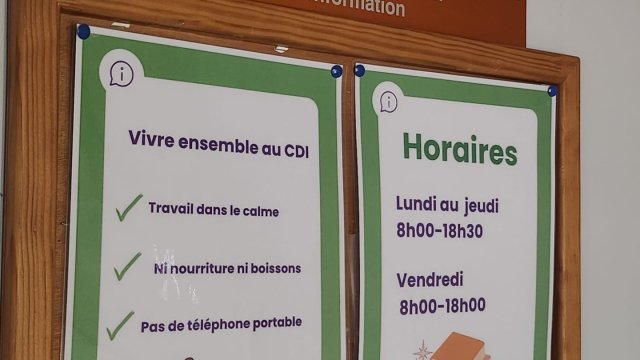 Affiches lycée Pothier